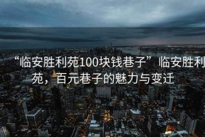 “臨安勝利苑100塊錢巷子”臨安勝利苑，百元巷子的魅力與變遷