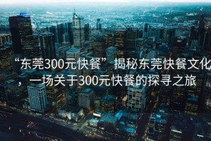 “東莞300元快餐”揭秘東莞快餐文化，一場(chǎng)關(guān)于300元快餐的探尋之旅