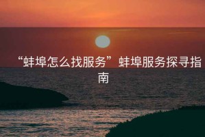 “蚌埠怎么找服務(wù)”蚌埠服務(wù)探尋指南