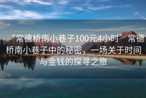 “常德橋南小巷子100元4小時”常德橋南小巷子中的秘密，一場關于時間與金錢的探尋之旅