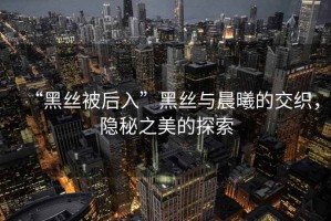 “黑絲被后入”黑絲與晨曦的交織，隱秘之美的探索