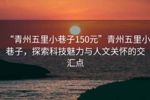 “青州五里小巷子150元”青州五里小巷子，探索科技魅力與人文關懷的交匯點