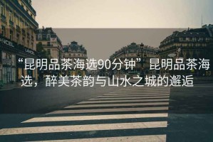“昆明品茶海選90分鐘”昆明品茶海選，醉美茶韻與山水之城的邂逅