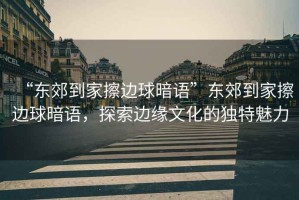 “東郊到家擦邊球暗語”東郊到家擦邊球暗語，探索邊緣文化的獨特魅力