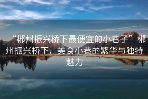 “郴州振興橋下最便宜的小巷子”郴州振興橋下，美食小巷的繁華與獨(dú)特魅力