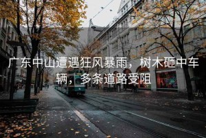 廣東中山遭遇狂風(fēng)暴雨，樹木砸中車輛，多條道路受阻