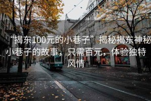 “揭東100元的小巷子”揭秘揭東神秘小巷子的故事，只需百元，體驗獨特風(fēng)情