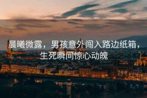 晨曦微露，男孩意外闖入路邊紙箱，生死瞬間驚心動魄