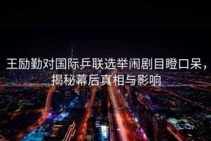 王勵(lì)勤對(duì)國際乒聯(lián)選舉鬧劇目瞪口呆，揭秘幕后真相與影響