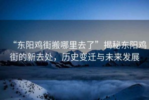 “東陽雞街搬哪里去了”揭秘東陽雞街的新去處，歷史變遷與未來發(fā)展