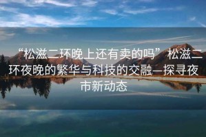 “松滋二環(huán)晚上還有賣的嗎”松滋二環(huán)夜晚的繁華與科技的交融—探尋夜市新動態(tài)