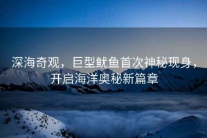 深海奇觀，巨型魷魚首次神秘現(xiàn)身，開啟海洋奧秘新篇章