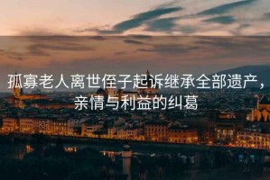 孤寡老人離世侄子起訴繼承全部遺產(chǎn)，親情與利益的糾葛