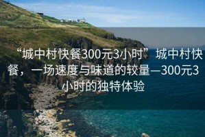 “城中村快餐300元3小時(shí)”城中村快餐，一場速度與味道的較量—300元3小時(shí)的獨(dú)特體驗(yàn)