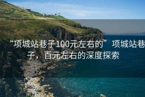 “項城站巷子100元左右的”項城站巷子，百元左右的深度探索