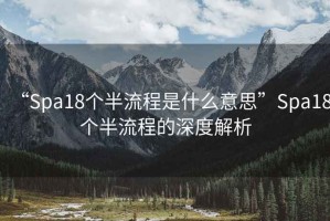 “Spa18個半流程是什么意思”Spa18個半流程的深度解析