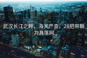 武漢長江之畔，海關(guān)嚴查，28把帶鞘刀具落網(wǎng)