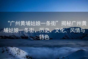 “廣州黃埔姑娘一條街”揭秘廣州黃埔姑娘一條街，歷史、文化、風(fēng)情與特色