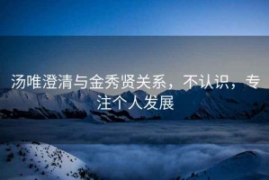 湯唯澄清與金秀賢關(guān)系，不認(rèn)識，專注個人發(fā)展