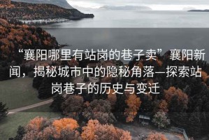 “襄陽哪里有站崗的巷子賣”襄陽新聞，揭秘城市中的隱秘角落—探索站崗巷子的歷史與變遷