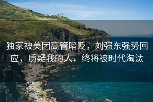 獨(dú)家被美團(tuán)高管暗貶，劉強(qiáng)東強(qiáng)勢(shì)回應(yīng)，質(zhì)疑我的人，終將被時(shí)代淘汰