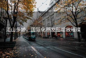 江山多嬌，國(guó)際化朋友圈綻放璀璨