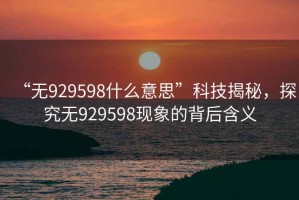 “無929598什么意思”科技揭秘，探究無929598現(xiàn)象的背后含義