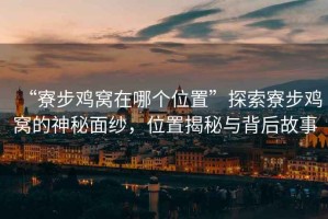 “寮步雞窩在哪個(gè)位置”探索寮步雞窩的神秘面紗，位置揭秘與背后故事