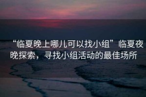 “臨夏晚上哪兒可以找小組”臨夏夜晚探索，尋找小組活動的最佳場所