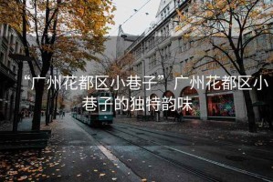 “廣州花都區(qū)小巷子”廣州花都區(qū)小巷子的獨特韻味