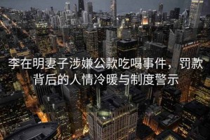 李在明妻子涉嫌公款吃喝事件，罰款背后的人情冷暖與制度警示