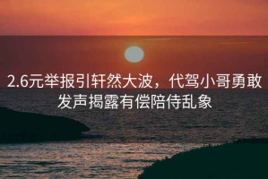 2.6元舉報(bào)引軒然大波，代駕小哥勇敢發(fā)聲揭露有償陪侍亂象