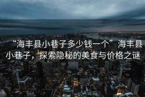 “海豐縣小巷子多少錢一個”海豐縣小巷子，探索隱秘的美食與價格之謎