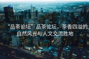 “品茶論壇”品茶論壇，茶香四溢的自然風(fēng)光與人文交流勝地