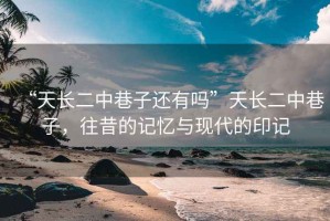 “天長二中巷子還有嗎”天長二中巷子，往昔的記憶與現(xiàn)代的印記