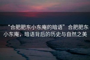 “合肥肥東小東庵的暗語”合肥肥東小東庵，暗語背后的歷史與自然之美