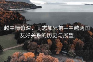 越中情誼深，同志加兄弟—中越兩國友好關(guān)系的歷史與展望