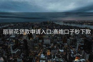麗麗花貸款申請(qǐng)入口:高炮口子秒下款