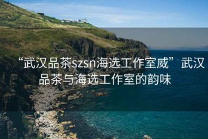 “武漢品茶szsn海選工作室威”武漢品茶與海選工作室的韻味