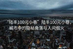 “陸豐100元小巷”陸豐100元小巷，城市中的隱秘角落與人間煙火