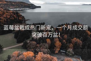 藍(lán)莓盆栽成熱門(mén)新寵，一個(gè)月成交額突破百萬(wàn)盆！