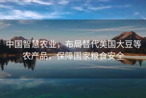 中國(guó)智慧農(nóng)業(yè)，布局替代美國(guó)大豆等農(nóng)產(chǎn)品，保障國(guó)家糧食安全