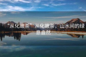 “從化嫩茶”從化嫩茶，山水間的綠意盎然