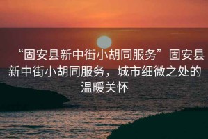 “固安縣新中街小胡同服務(wù)”固安縣新中街小胡同服務(wù)，城市細(xì)微之處的溫暖關(guān)懷
