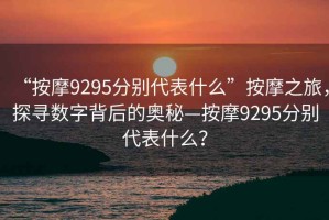 “按摩9295分別代表什么”按摩之旅，探尋數(shù)字背后的奧秘—按摩9295分別代表什么？