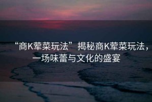 “商K葷菜玩法”揭秘商K葷菜玩法，一場味蕾與文化的盛宴