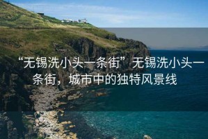 “無錫洗小頭一條街”無錫洗小頭一條街，城市中的獨(dú)特風(fēng)景線