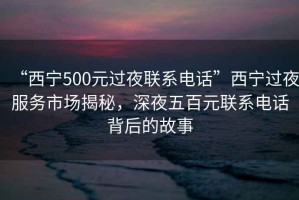 “西寧500元過(guò)夜聯(lián)系電話”西寧過(guò)夜服務(wù)市場(chǎng)揭秘，深夜五百元聯(lián)系電話背后的故事