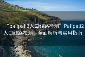 “palipali2入口線(xiàn)路檢測(cè)”P(pán)alipali2入口線(xiàn)路檢測(cè)，全面解析與實(shí)用指南