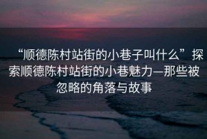 “順德陳村站街的小巷子叫什么”探索順德陳村站街的小巷魅力—那些被忽略的角落與故事